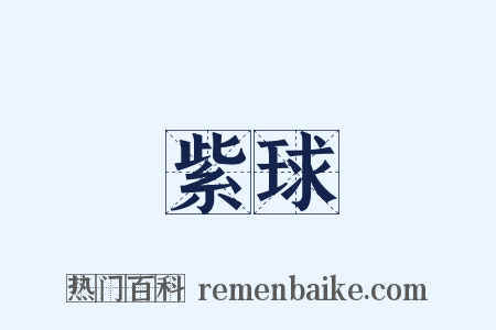 紫球是什么意思的图片